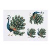 4 x 'Beautiful Peacock' Temporary Tattoos - Water Resistant, Skin-Safe,