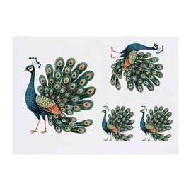 4 x 'Beautiful Peacock' Temporary Tattoos - Water Resistant, Skin-Safe, Non-Toxic Transfers, Mixed Sizes (TO00077178)