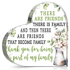 Chunful Gift for Friend Friendship Gift for Woman Birthday Gifts for Friend Going Away Gifts Plaque for Coworker Woman Retirement Gifts Acrylic Plaque for Friendship Keepsake Decor (Eucalyptus)