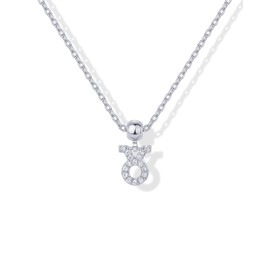 PAVOI Rhodium Plated Astrology Necklace for Women | Cubic Zirconia Horoscope Charm Sliding Adjustable Necklace | Dainty Zodiac Necklace | Taurus, White Gold, Cubic Zirconia