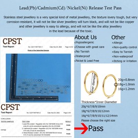 Lantine Gold Hinged 20g Nose Rings Hoops 6mm Septum Ring Clicker Forward Helix Ear Cartilage Hoop Earrings 2pcs