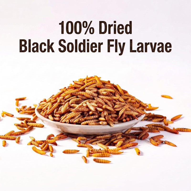 Qinyurj Dried Black Soldier Fly Larvae, High Protein Chicken Treats,5LB