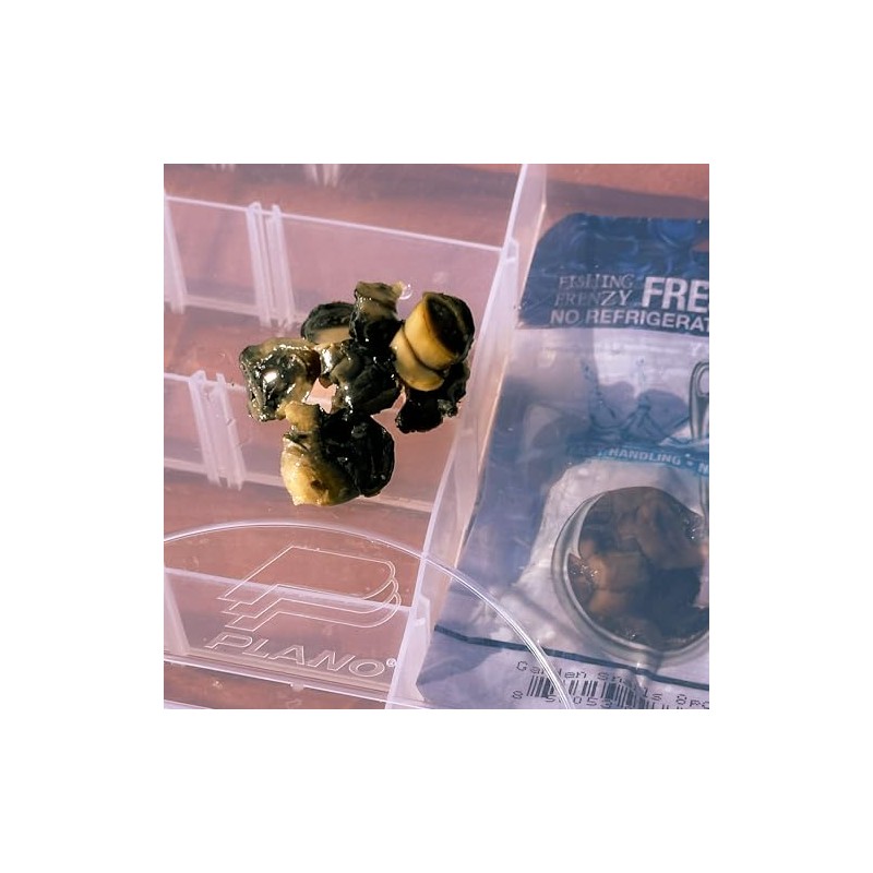 Naturally Preserved Fishing Bait – 2-Year Shelf-Stable, Ideal for Freshwater