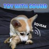 ALL FOR PAWS Pet Plush Rabbit Toys with Squeaker, Durable