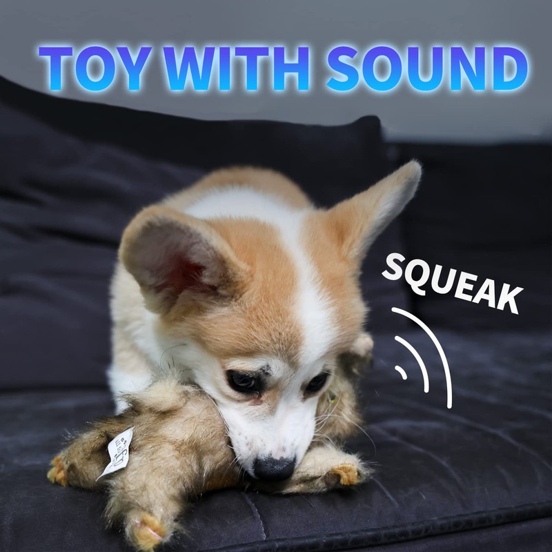 ALL FOR PAWS Pet Plush Rabbit Toys with Squeaker, Durable