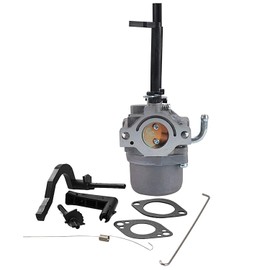 Wellsking 591378 Carburetor with 491588S Air Filter Tune-Up Kit for BS Generator 697978 796321 696132 696133 796322 697351 699958 699966 698455 695918 694952 695919 695920 695328