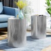 2 Piece Cylindrical Coffee Table Metal Cylindrical Small Side Table