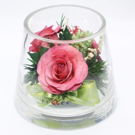 Fiora Flower | Long Lasting Roses in a Sealed Glass Vase | Fresh Cut Roses – Preserved Roses| Unique Present Gift (Small Cylinder)