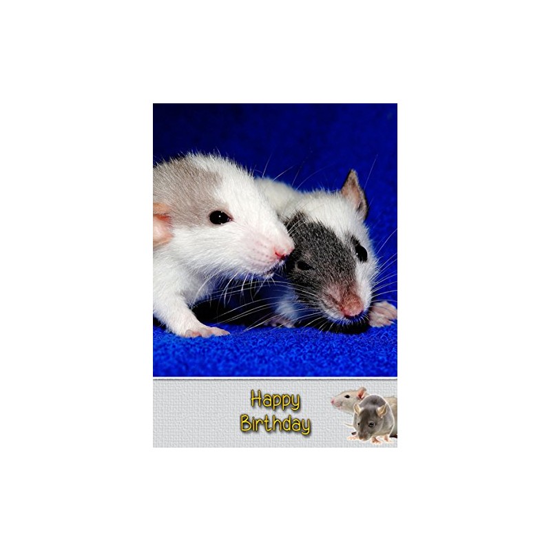 Rat Birthday Card