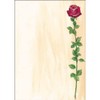 SIGEL DP695 Motiv-Papier "Rose Bloom", Briefpapier 90 g, DIN A4,