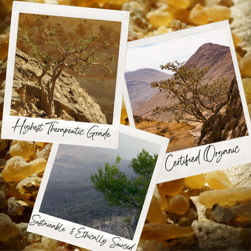 AAY’HAN | 100% Pure Frankincense (Sacra) Essential Oil from Oman