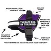 Therapy Dog in Training Harness with Removable Saddle Bag Backpack