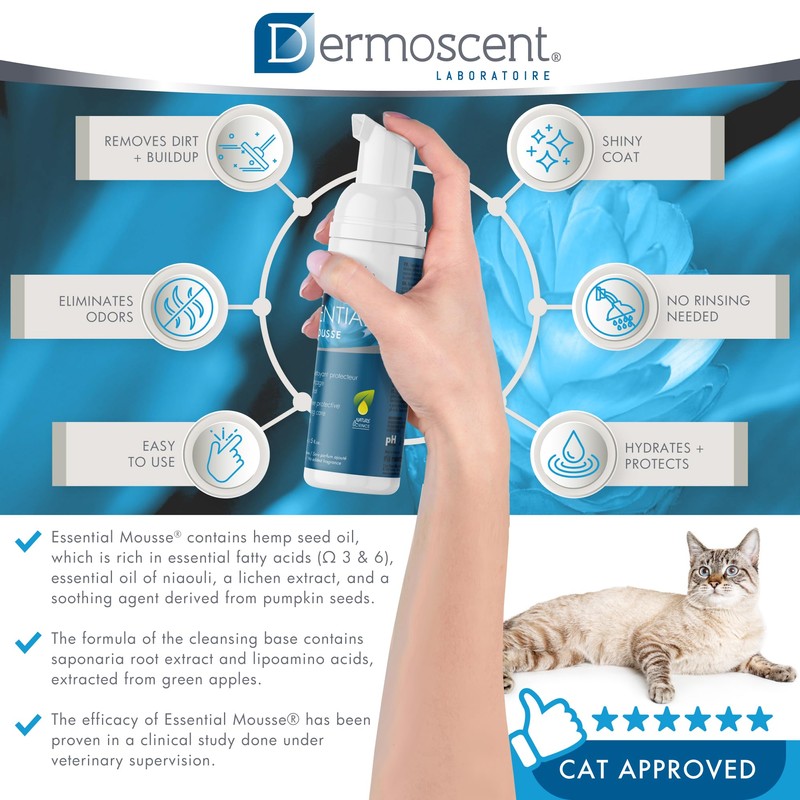Dermoscent Essential Mousse - Dry Shampoo for Cats - Rinse