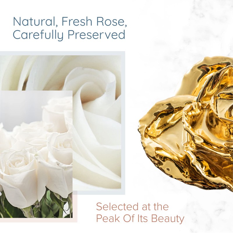 Fantasy Rose 24K Gold Dipped Rose, Unique & Everlasting Real