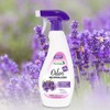 Odor Neutralizer, Lavender Chamomile, 13-oz.