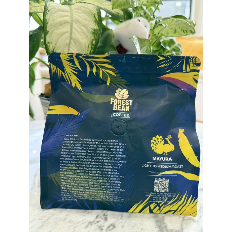 Forest Bean Mayura Coffee, 100% Arabica, Single-Origin Indian, LIGHT TO