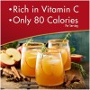 Alpine Innovations Spiced Apple Cider Drink Concentrate 4 Pack 40