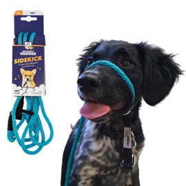 Heather's Heroes Sidekick Dog Headcollar with Leash - Sidekick Leash for Dogs, Effective Dog Training Tool for Leash Reactivity and Behavior Issues (Turquoise, Mini (1/4"))
