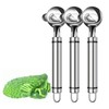 Cactus Peeler Tool, 3 Pack Stainless Steel Pelador de Nopales,