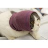 DDFS Cat Ear Wrap (2 Pack), Keep Calm Head Cover
