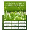 Hot Farm Yame Matcha Green Tea Yame Green Tea, 1.1