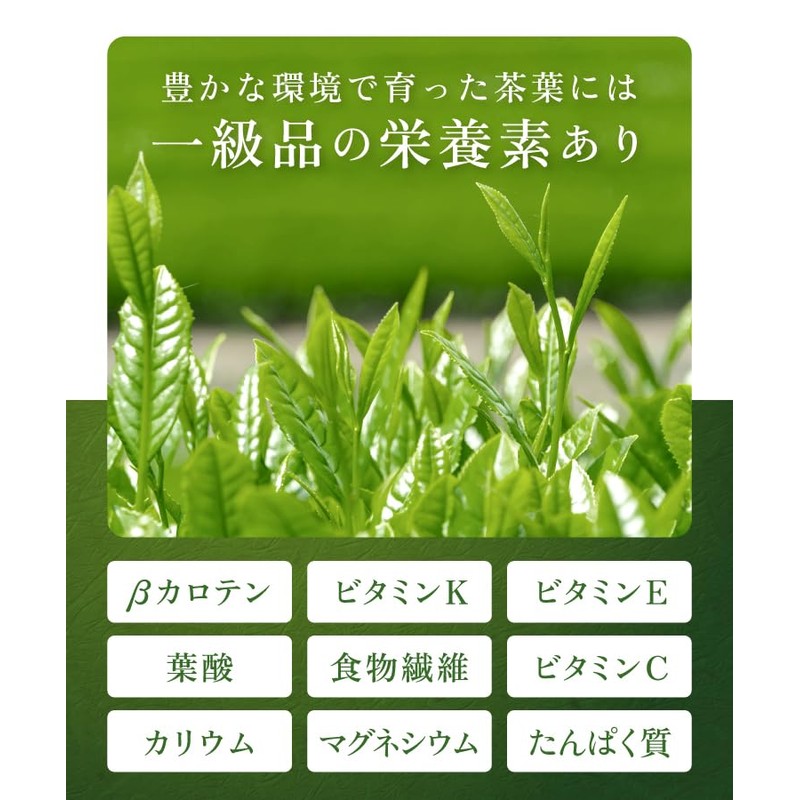 Hot Farm Yame Matcha Green Tea Yame Green Tea, 1.1