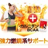 シードコムスＬ-カルニチン BCAA サプリメント (約1ヶ月分 60粒)