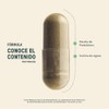 LIFE 360 Probióticos 60 Billones 4 Cepas 240 cápsulas 540mg