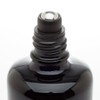 Infinity Jars Black Ultraviolet Glass Bottle 50 Ml (1.7 fl
