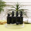 NOOEEISS 48 Pack,1oz Glass Dropper Bottle,Blakc Tincture Bottles with Dropper,Pretty