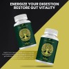 (2 Pack) Eden Capsules – Eden Pills Digestive Support, Gut