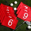 Riakrum 9 Pcs mini golf flags for yard 8.9 x