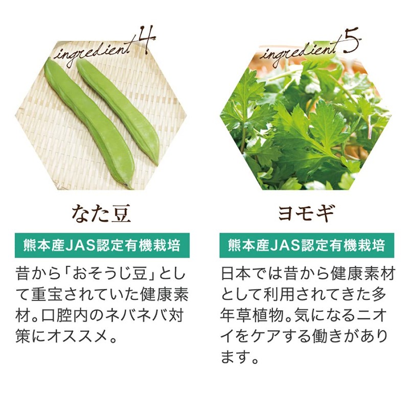 Yazuya Group Kyushu Natural Museum Dental Green Propolis 3.5 oz
