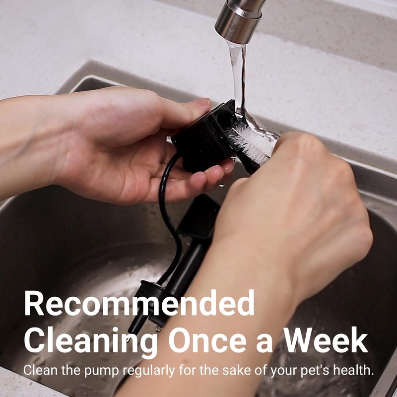 DownyPaws Replacement Water Pump Black for Cat Water Fountain Stainless