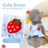 XGDMEIL Cute Strawberry Small Dog Dress with D-Ring Princess Lace