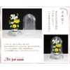 Art Four Seasons ● Offering Mom Dome Preserved Flower (Yellow)