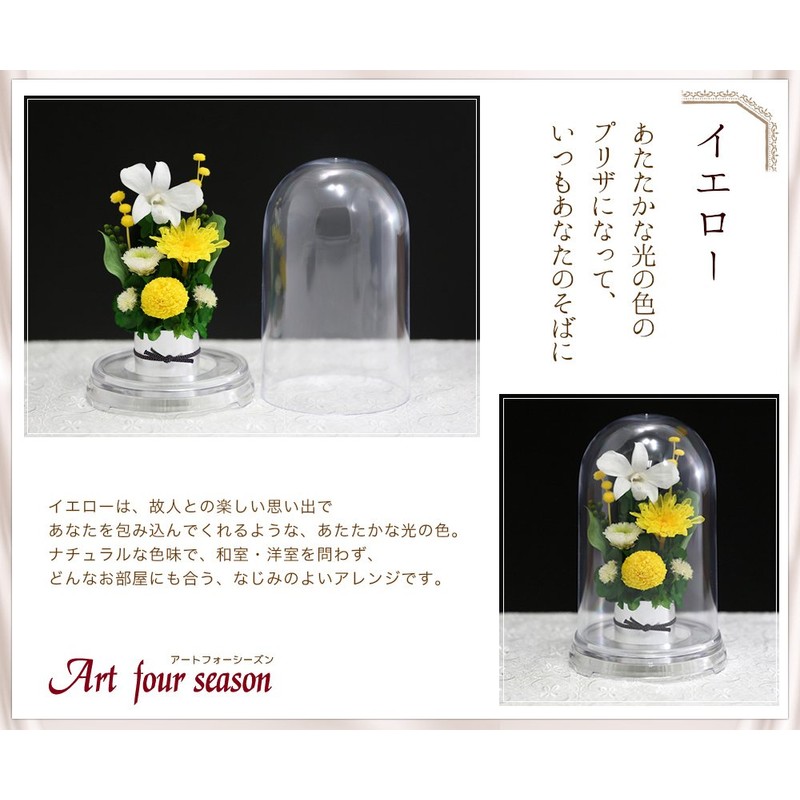 Art Four Seasons ● Offering Mom Dome Preserved Flower (Yellow)