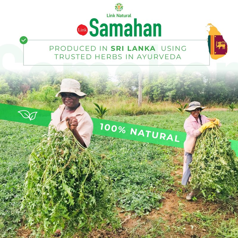 Samahan Tea bags 60 Tea Bags, Link Natural link saman,