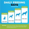 BUDDY'S BEST Natural Dewormer For Dogs & Cats | Intestinal