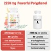 67,500 MG Polyphenols Supplement - Powerful Antioxidants & Polyphenol for