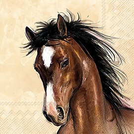 IHR Ideal Home Range Cocktail Napkins Disposable 3-Ply Paper Party Napkin Pack, 5" x 5", Amy & Lucy (Cream), 20-Count