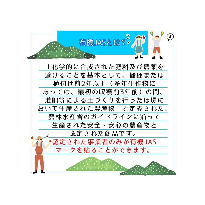 ヘルシーカンパニー オーガニック アガベ イヌリン (水溶性食物繊維)５００ｇ 有機