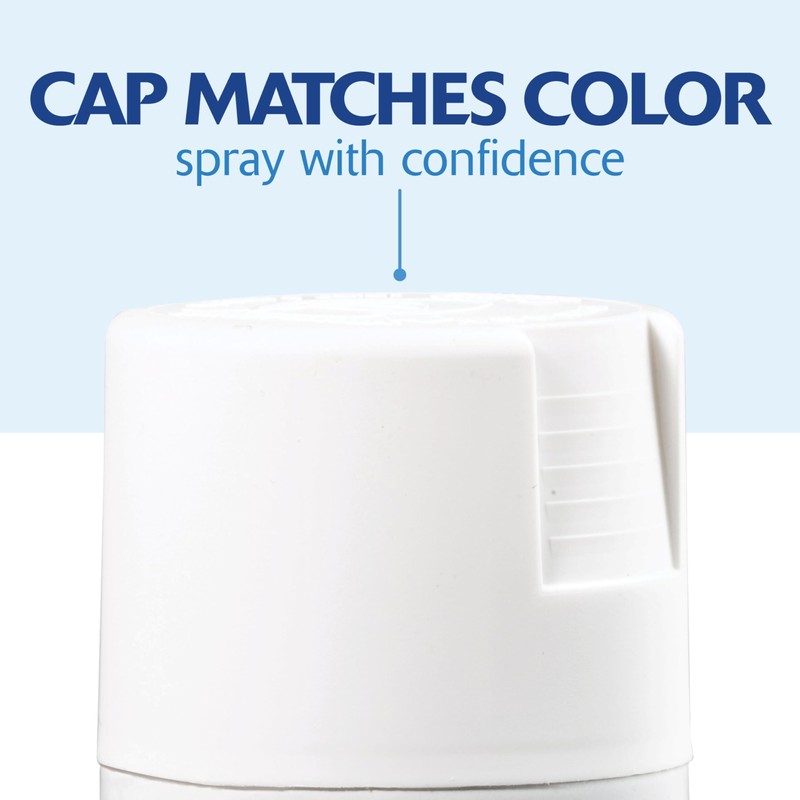 Rust-Oleum 331181-6PK Painter's Touch 2X Ultra Cover Spray Paint, 12