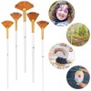 Mozeat Lens 5 Pcs Professional Fan Paint Brushes Set for