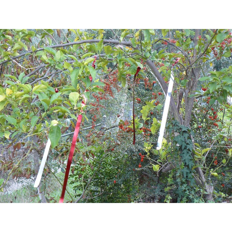 Bird B Gone Flash Tape Visual Bird Deterrent (50ft Roll)