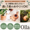 [Global Box] Potted Plants Watering Pottery Unglazed Watering Plants Plants