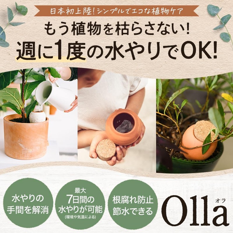 [Global Box] Potted Plants Watering Pottery Unglazed Watering Plants Plants