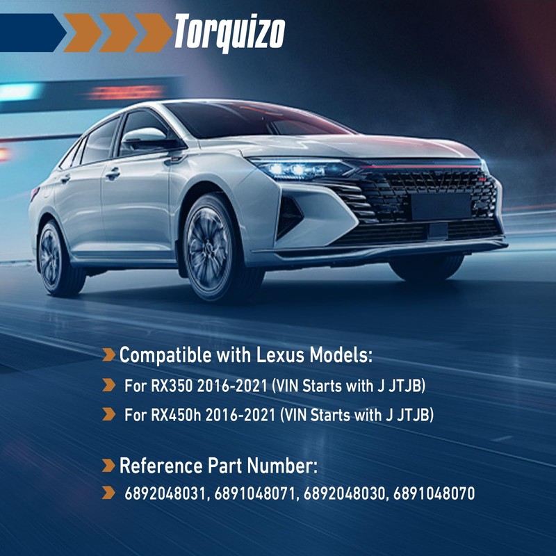 Torquizo 817702W600 Rear Left Right Tailgate Power Lift Support 2PCS
