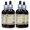 Desmodium, Tick Clover (Desmodium Illinoense) Dried Herb Liquid Extract 4x4