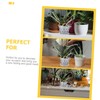 CIYODO 6sets Transparent Orchid Pots Breathable Net Pots Drainage and